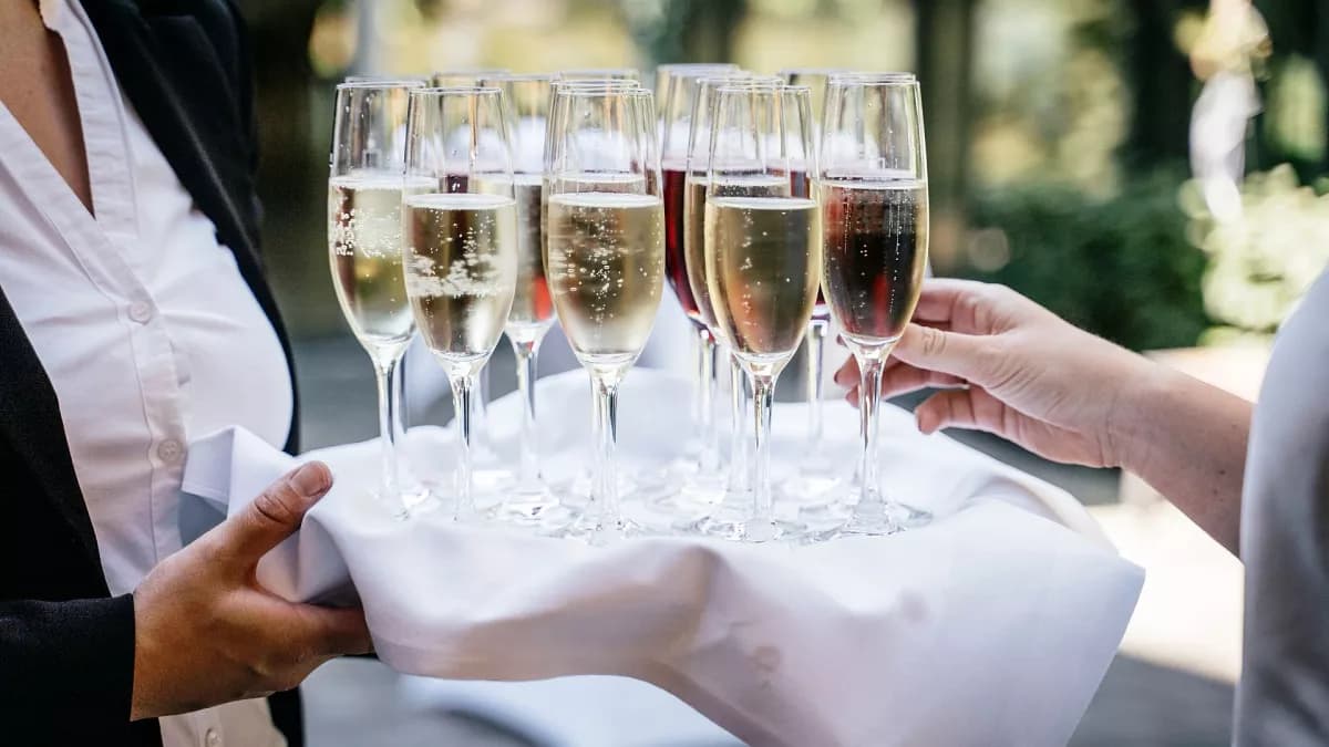 Discover the Best Clarksburg Wines Today