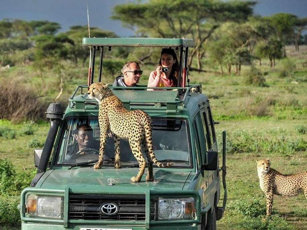 Unveil Tanzania’s Beauty with an Amazing Safari from Zanzibar