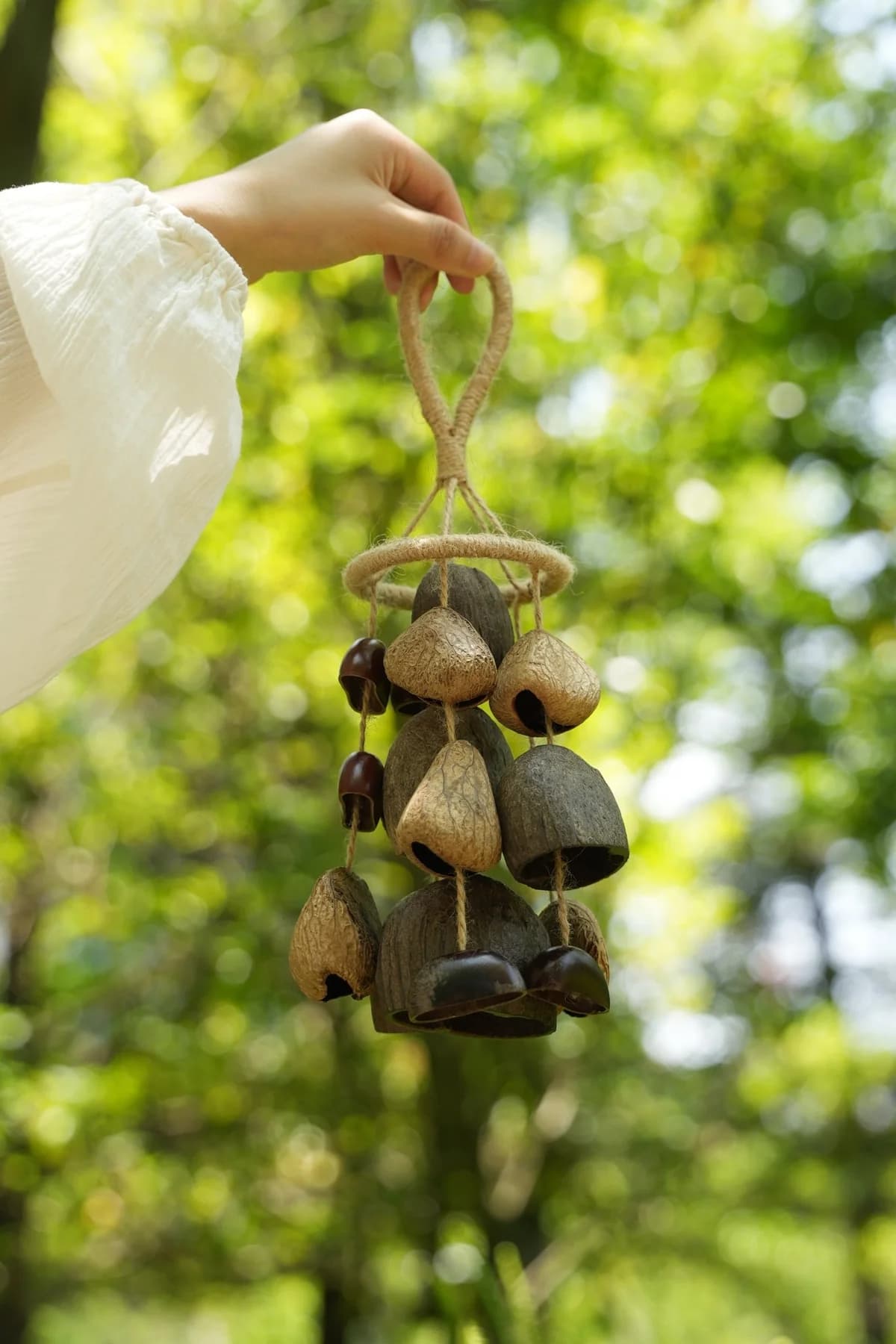 Seed Shell Hand Bell: Unique Botanical Sound Instrument from Nature