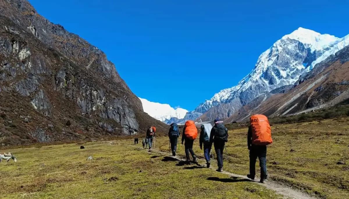 Sandakphu Trek by Sandakphu Trek: Trekking the Singalila Ridge in Style