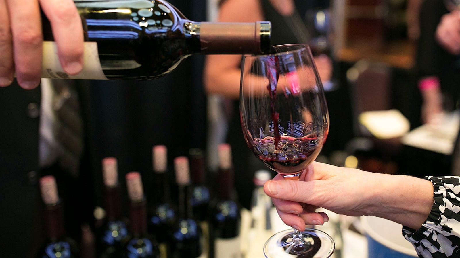Luxury Wine Tour Limo Packages at Affordable Prices