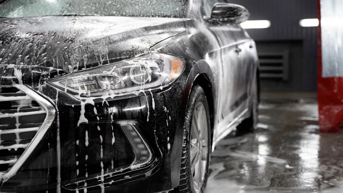 Mobile Car Detailing Near Me by Big Dog Detail
