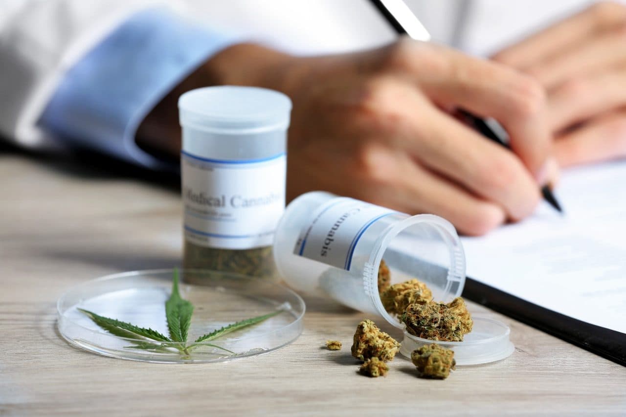 Bulk CBD Edibles for Dispensaries &amp; Shops