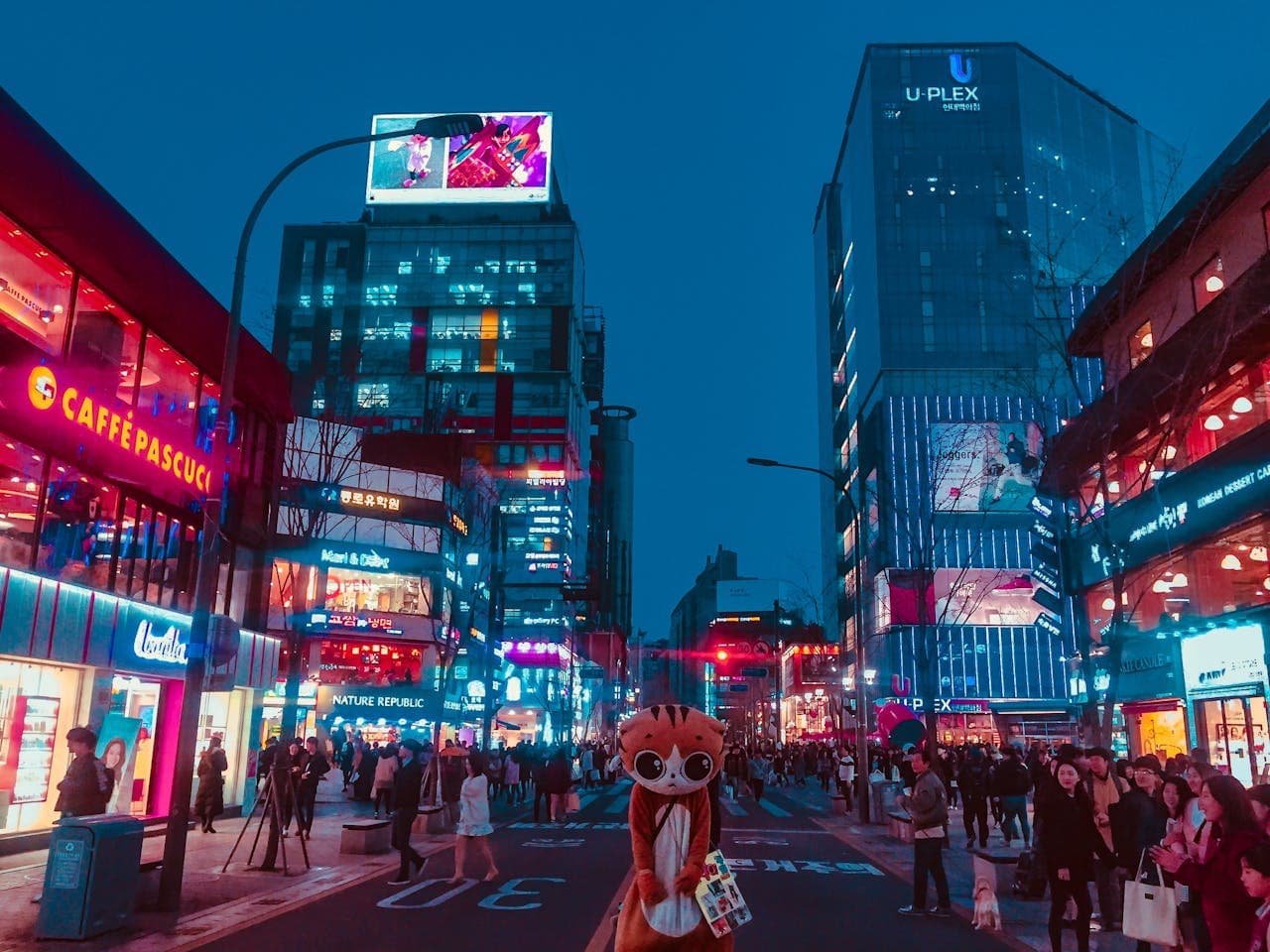 나트랑 밤문화 꿀팁 모음 (예약·가격·주의사항)