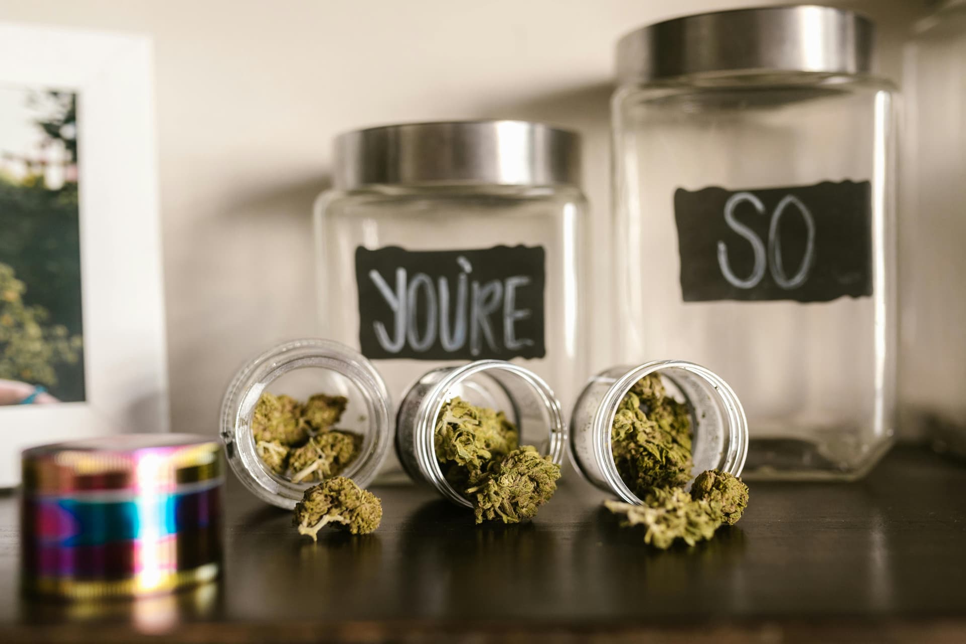 A CHEF’S GUIDE TO UNDERSTANDING THCA IN CULINARY CONTEXTS