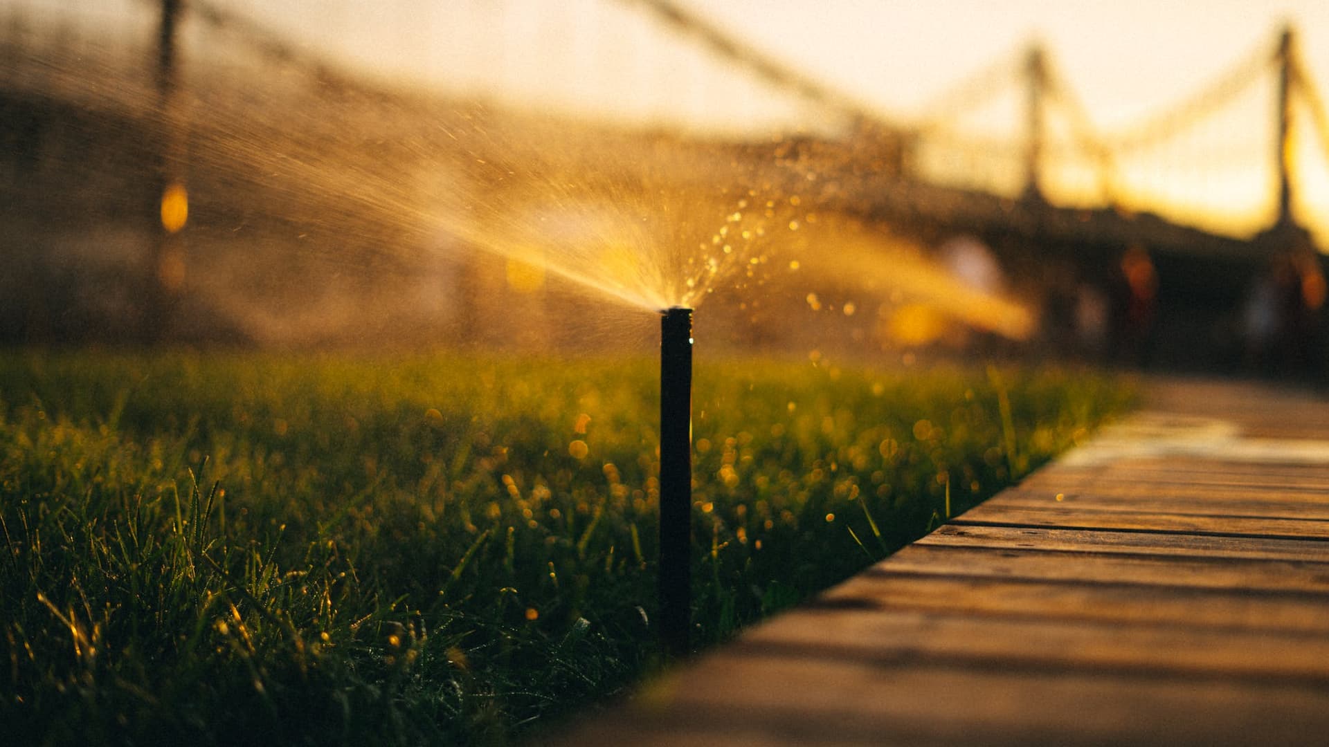 Professional Irrigation Services in Bedford, TX for Customized Watering Solutions