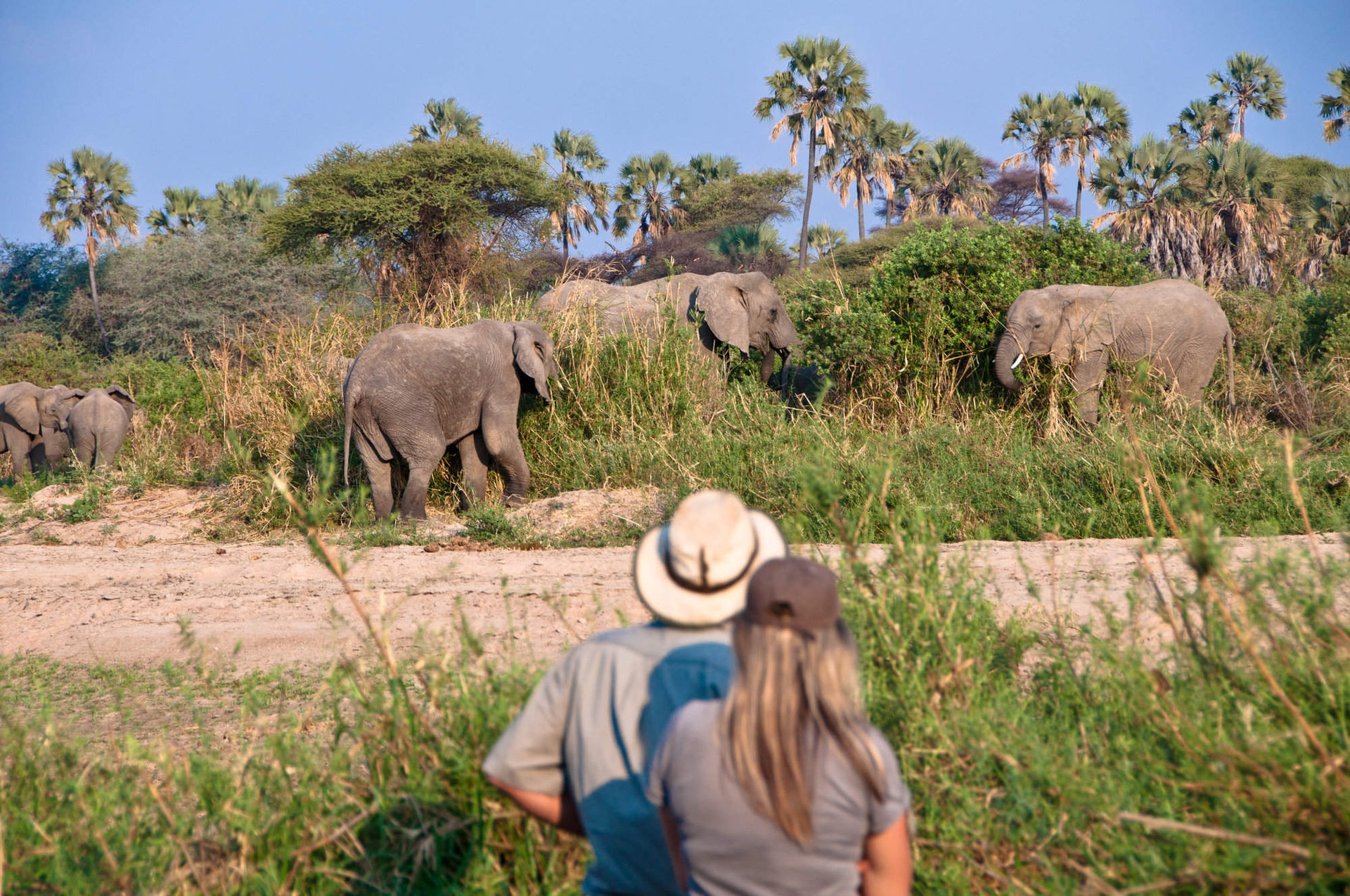 Tanzania Safari Adventures Led by Licensed Tanzanian Operators