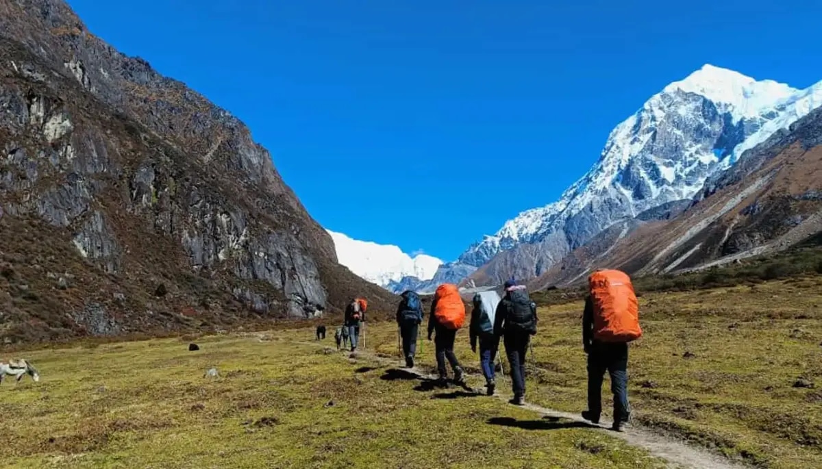 Sandakphu Trek by Sandakphu Trek: Trekking the Singalila Ridge in Style