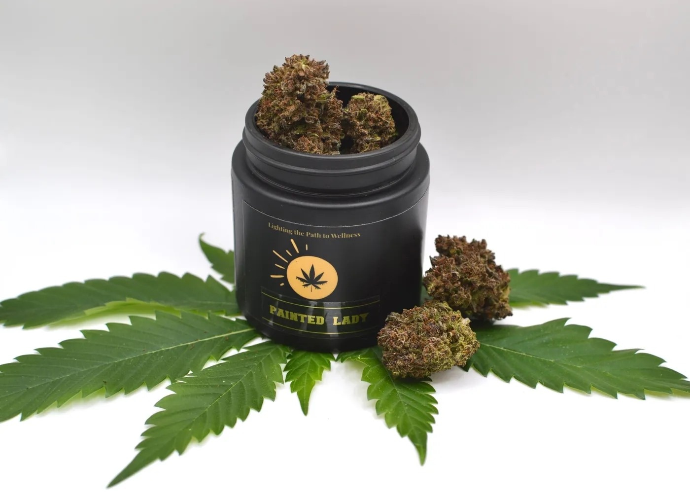 Mandarin Cookies Strain at Bud Cargo – Fresh BC Craft Cannabis Delivered