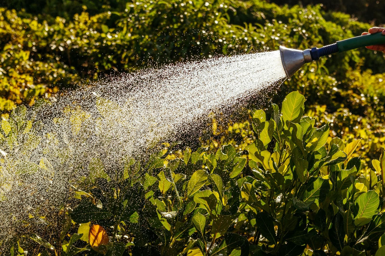 Professional Irrigation Services in Euless, TX – Sprinkler System Experts
