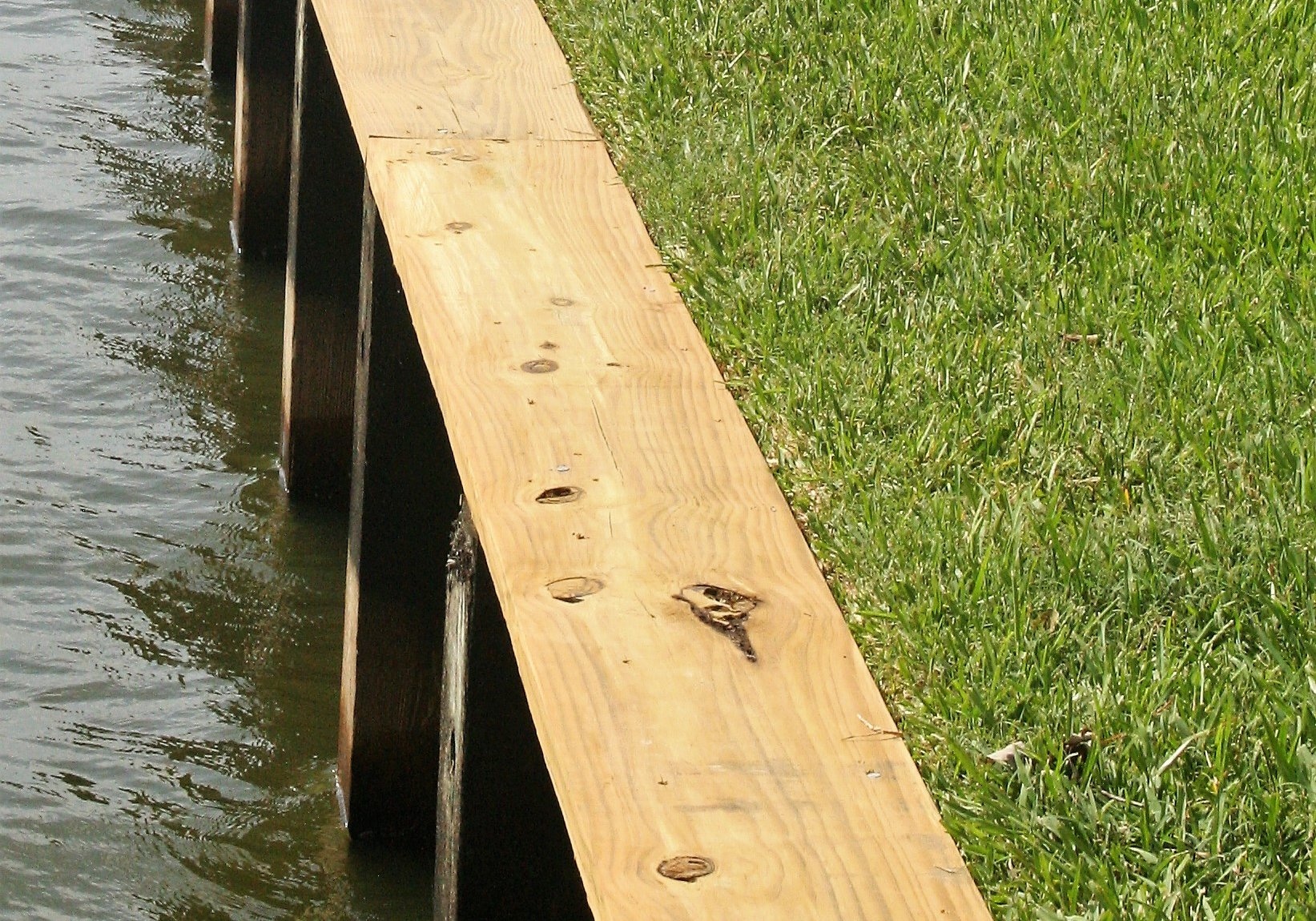 Expert Floating docks Design and Construction Services
