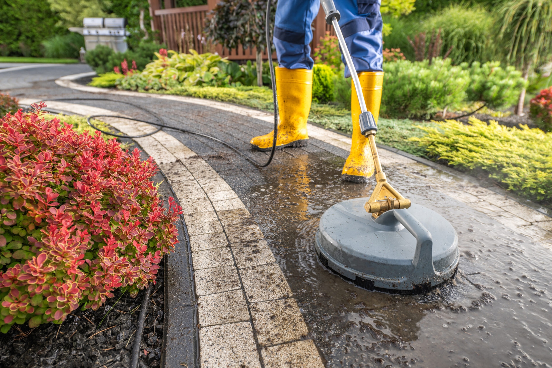Roof Cleaning – Mr Clean Professional Roof Care for Long-Term Protection