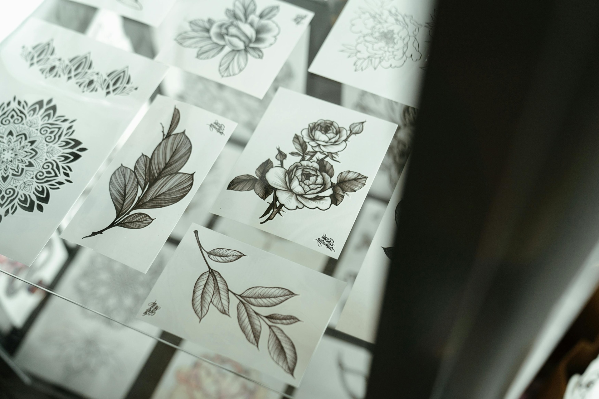 Dachi Duck: From Collectibles to Everyday Essentials