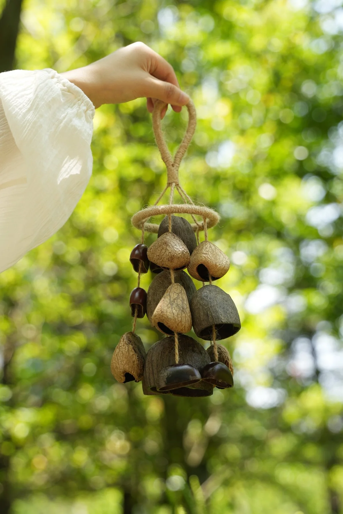 Seed Shell Hand Bell: Unique Botanical Sound Instrument from Nature