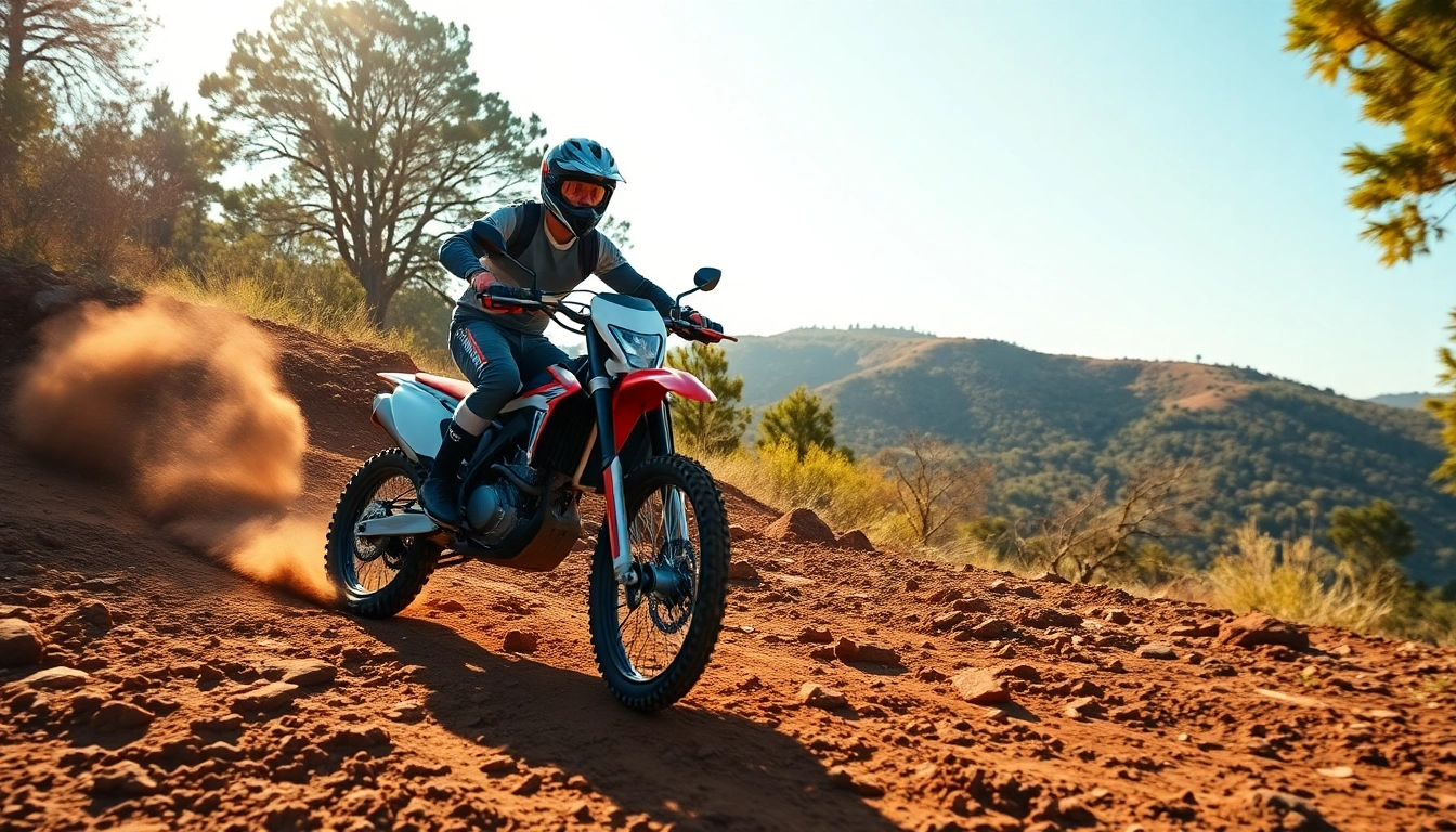Experience the thrill of off-roading with https://relevance.com.ua as a motorcycle rider conquers rough terrain.