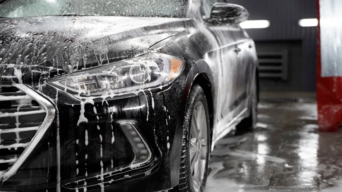 Mobile Car Detailing Near Me by Big Dog Detail