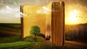 WhatsApp Image 2025-10-14 at 4.51.25 PM (18)