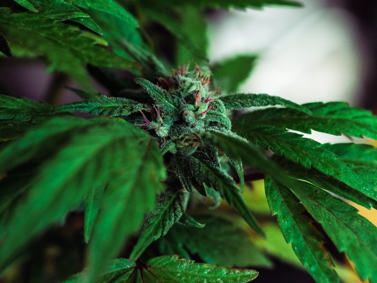 WhatsApp Image 2025-11-21 at 3.01.15 PM (4)