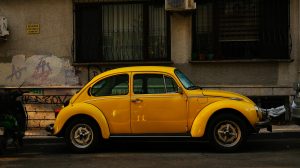 pexels-bayram-yalcin-86843184-33202714